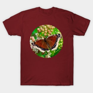 Mourning Cloak Butterfly Photograph T-Shirt